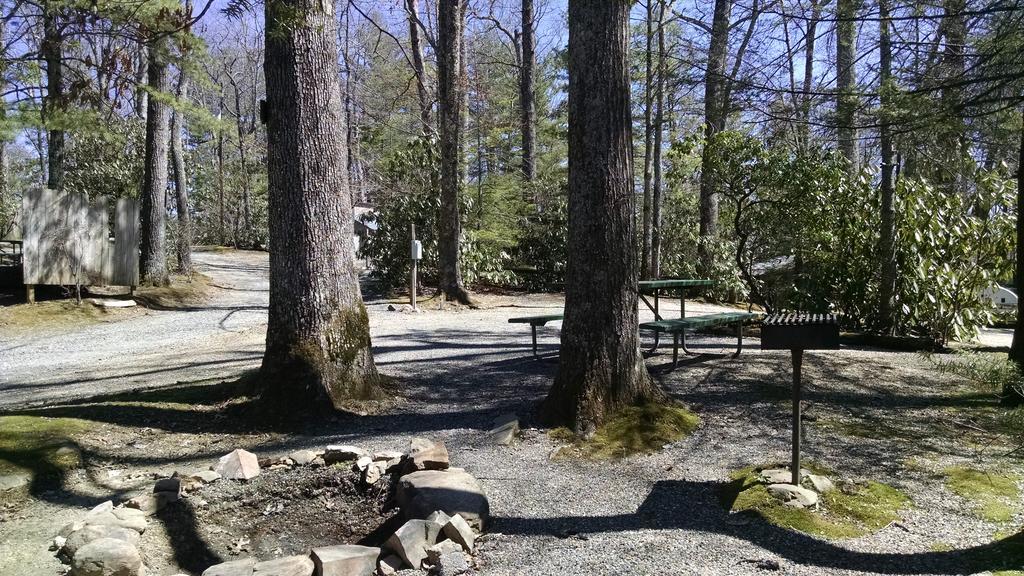 Linville Falls Campground, Rv Park, And Cabins Екстериор снимка