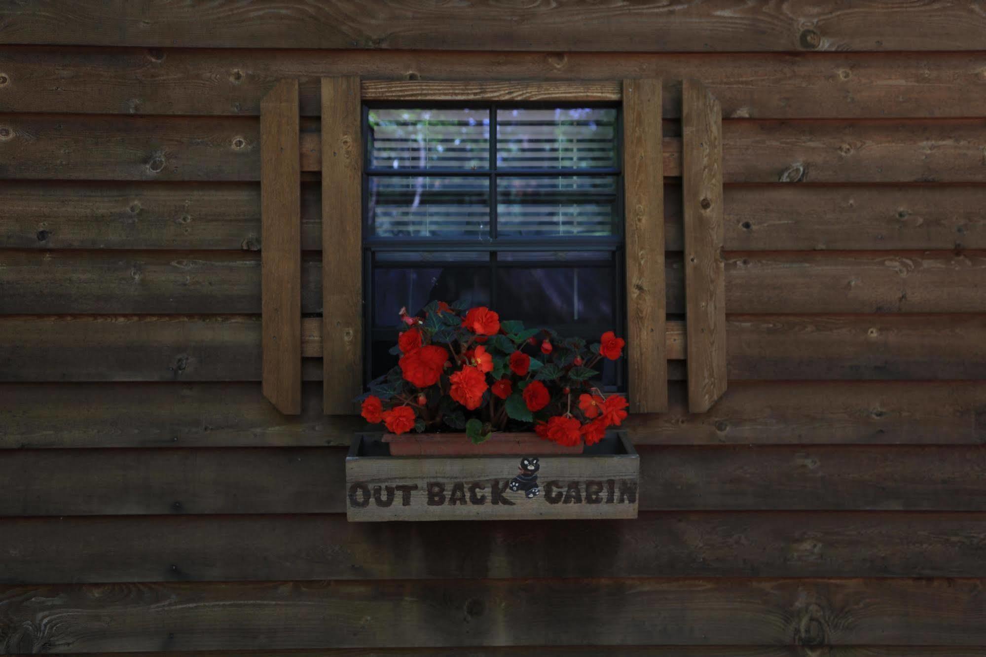 Linville Falls Campground, Rv Park, And Cabins Екстериор снимка