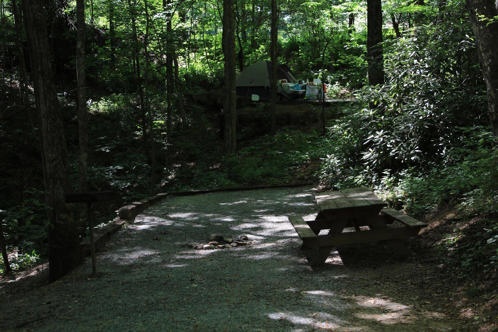 Linville Falls Campground, Rv Park, And Cabins Екстериор снимка