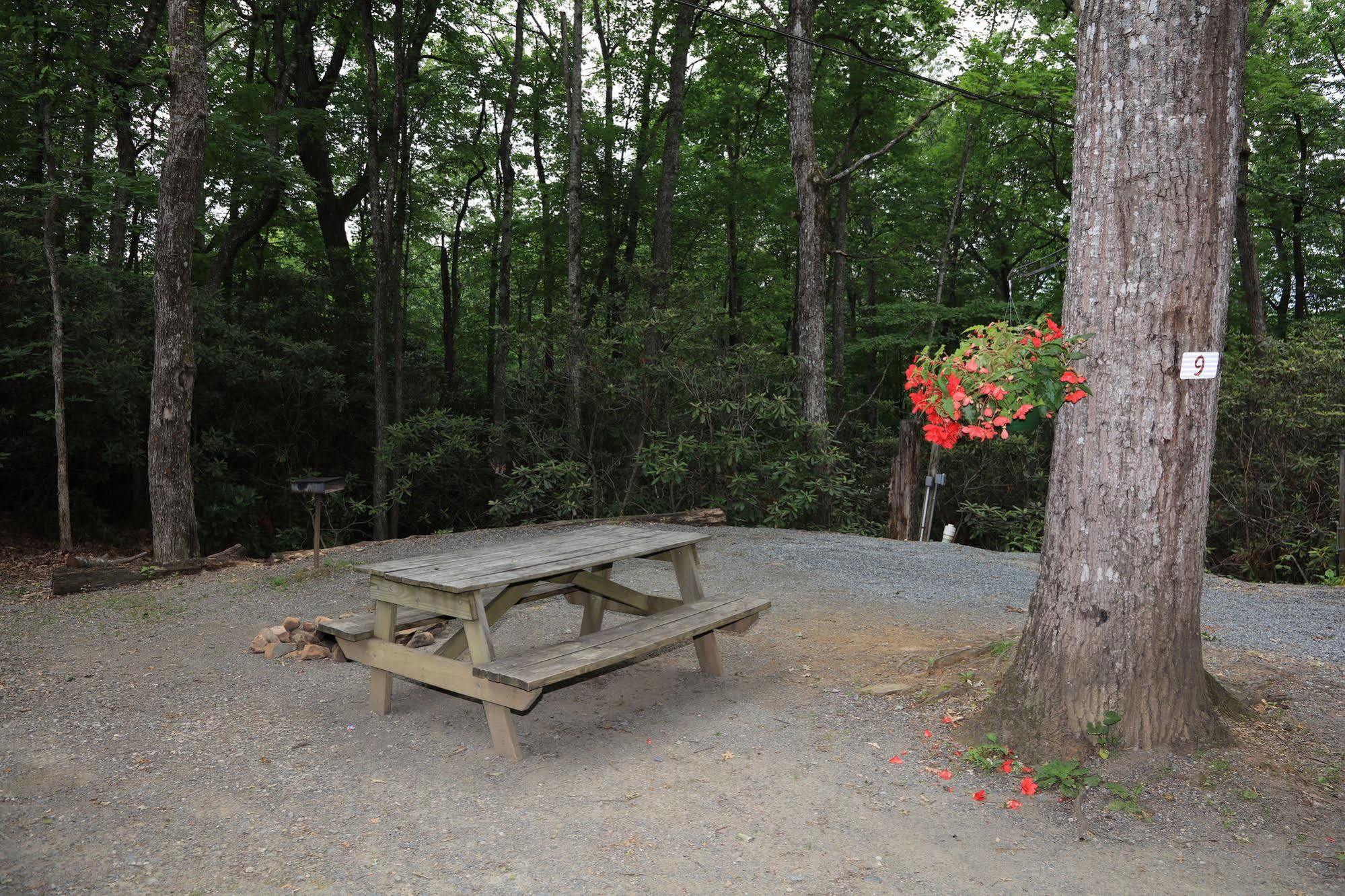 Linville Falls Campground, Rv Park, And Cabins Екстериор снимка